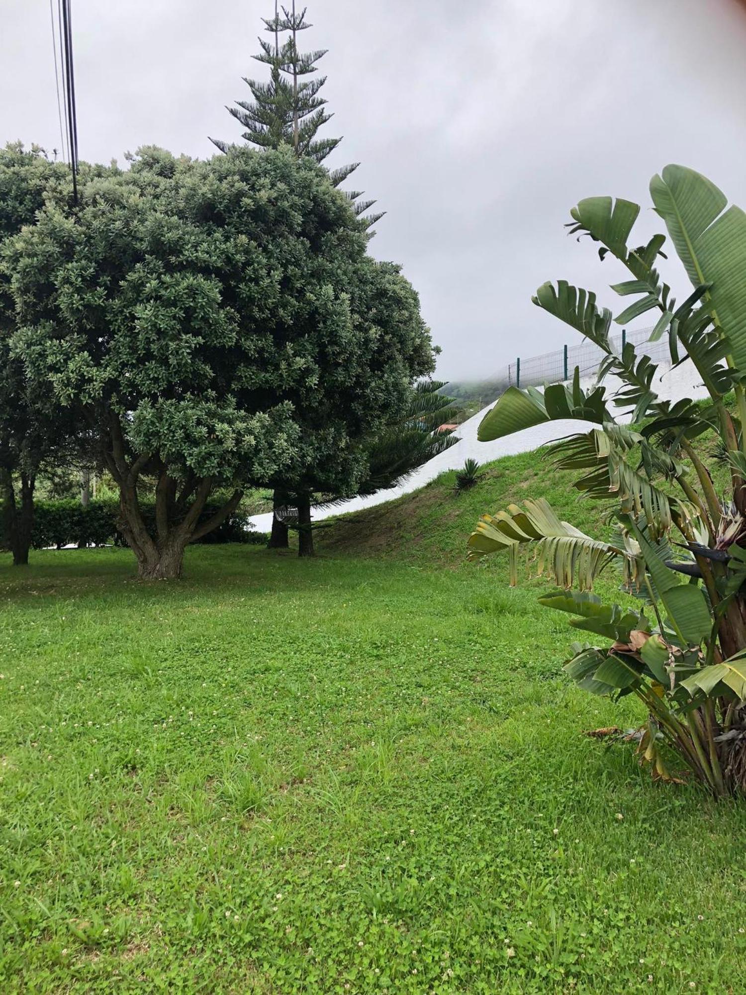 Vila Vivenda Flor Ponta Delgada Exteriér fotografie