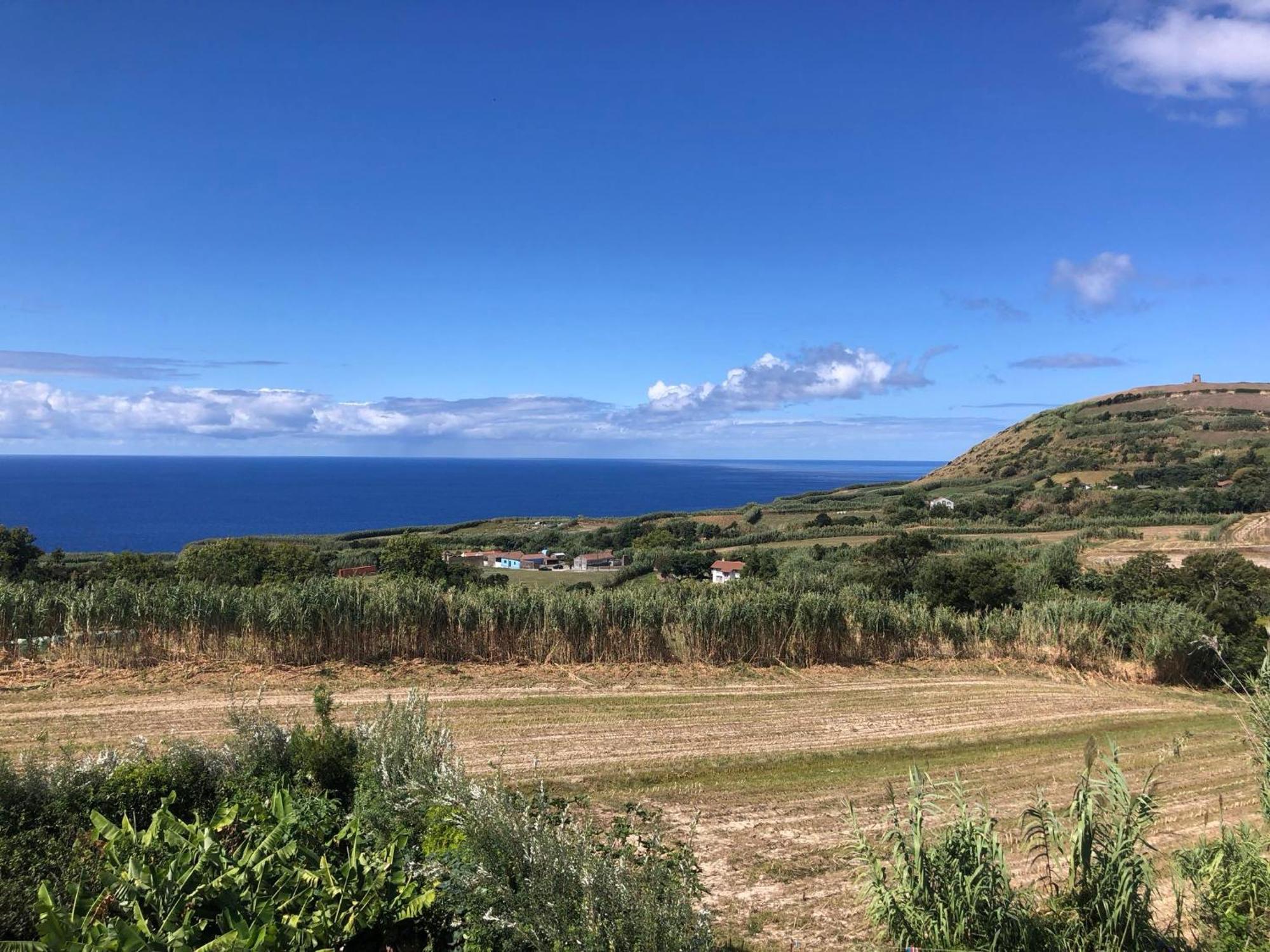 Vila Vivenda Flor Ponta Delgada Exteriér fotografie